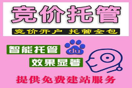 百度SEO推广公司案例汇编：实战优化技巧全解析
